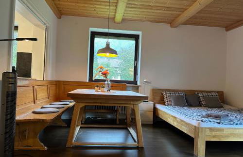 Haus Oberwössen Studio #2 Rechenberg mit Sauna - Foto 1