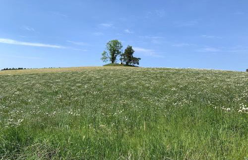 Große Loft im Naturschutzgebiet mit eigenem Garten - Photo 57