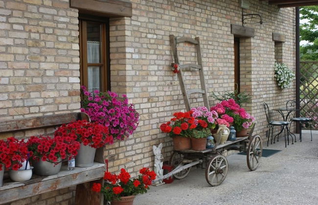 Alloggio Agrituristico Albafiorita - Foto 41