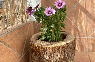 Ático Lanjarón - Foto 24