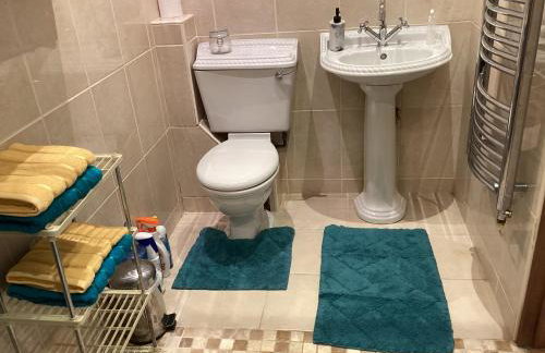 polgoon Vineyard annex Penzance - Photo 8