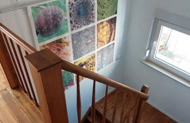 Gemütliches Häuschen mit Innenhof - Longstay - Foto 21