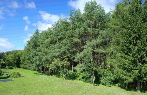 Agrosfera dom relaksacyjny - Foto 35