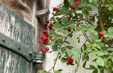 Cherrytree Cottage 1840 - Foto 41