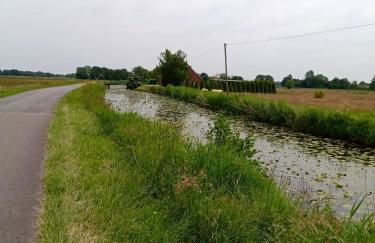 FeWo Unner'd Kastanje - Foto 24