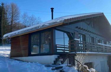 Chalet Charmant rénové au bord du Lac St Point - Foto 9