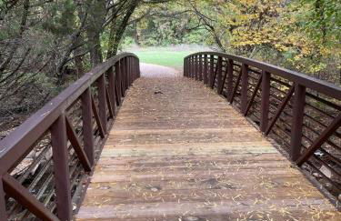 Luxury Home w Hot Tub near DFW Airport - Photo 54