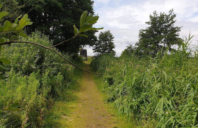 6 Person Holiday Home in Ebeltoft - Foto 34