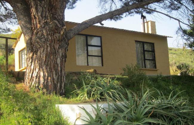 Swaynekloof Farm - Photo 53