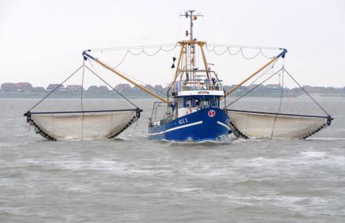 Huus Wattenmeer in Neßmersiel an der Nordsee - Foto 35