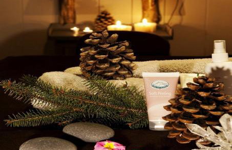 Residence Hôtelière La Renardiere - Foto 25