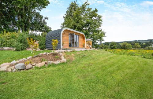 Freedom Fields - Bluebell - Photo 11