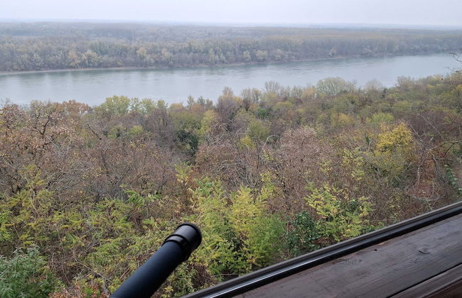 Holiday Home Nadira - Foto 13