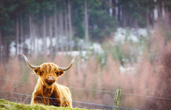 Achmony Secluded Westend - Foto 28