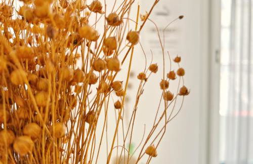 Le Viarm'Élite - Photo 15