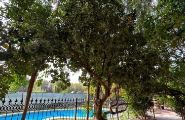 Finca Vitoria - Foto 27