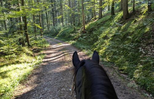 Ferienwohnung Fornsbachblick - Foto 24
