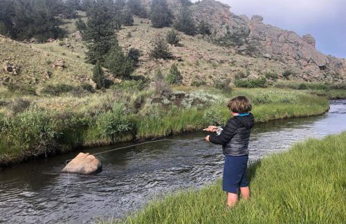 Secluded Modern Cabin On 10 Acres Tarryall Creek - Foto 12