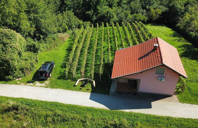 Holiday Home Vesna with Sauna - Foto 35