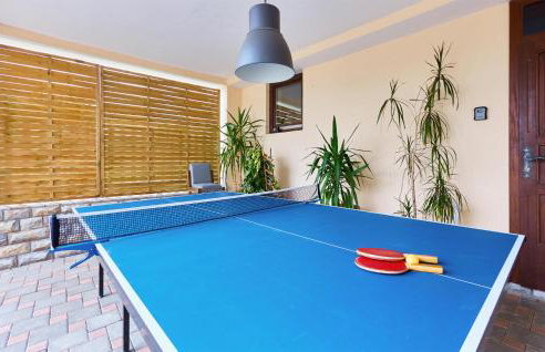 Beautiful Home In Budrovac With Wi-Fi - Foto 20