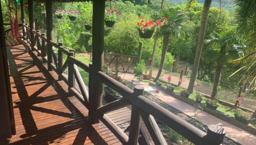 Sítio em área rural, ao pé da Serra Gaúcha. - Foto 3