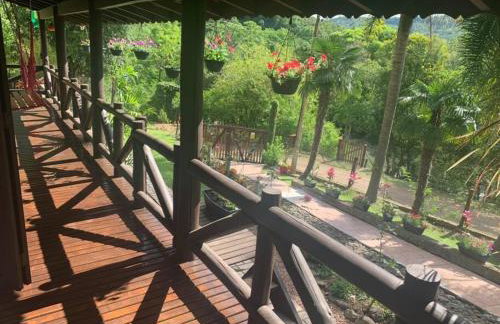 Sítio em área rural, ao pé da Serra Gaúcha. - Foto 3