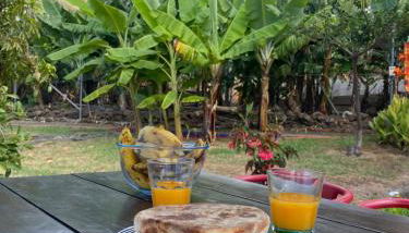 As Casinhas da Madeira - Cosy Stone Cottage in a subtropical garden - Foto 2, Garden view