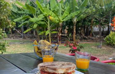 As Casinhas da Madeira - Cosy Stone Cottage in a subtropical garden - Foto 2