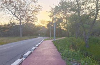 Casa da Mata - Foto 52