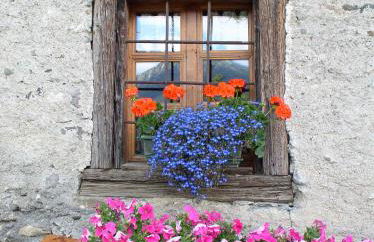 Agriturismo Barba Gust - Foto 64