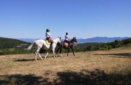 Agriturismo Il Monte - Piscina tra gli Ulivi, Maneggio con Cavalli e WIFI - Foto 22