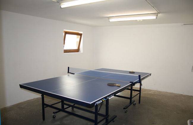 Quaint Mansion Near ski bus in Goldegg - Photo 39