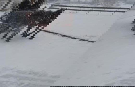 Haus Wiesengrund - Foto 12