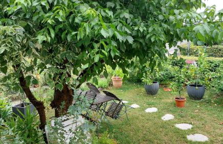 Villa Lotte - Foto 33