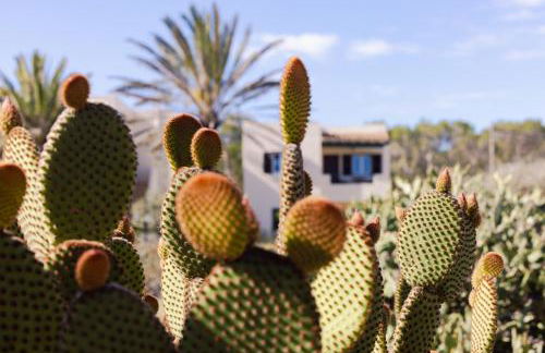 Apartamentos Verde Mar - Foto 14