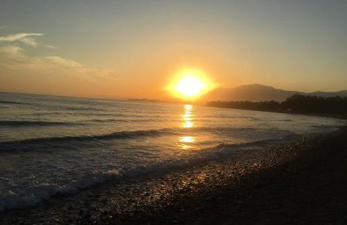 Apartment in El Presidente Beach Side New Golden Mile - Photo 52