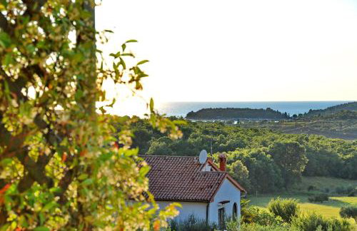 Apartment Karla - Foto 22