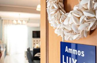 Ammos Lux Apartments - Foto 19