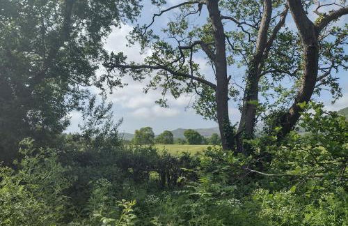 The Cabins Conwy - Foto 42