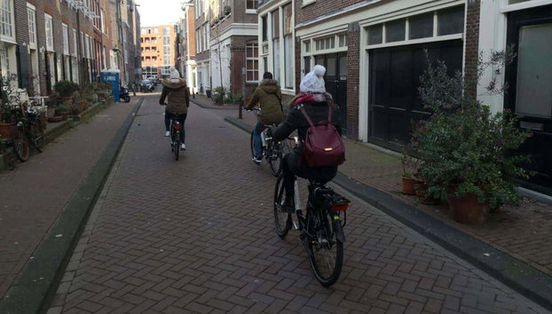 Tour in bici di Amsterdam - Photo 5