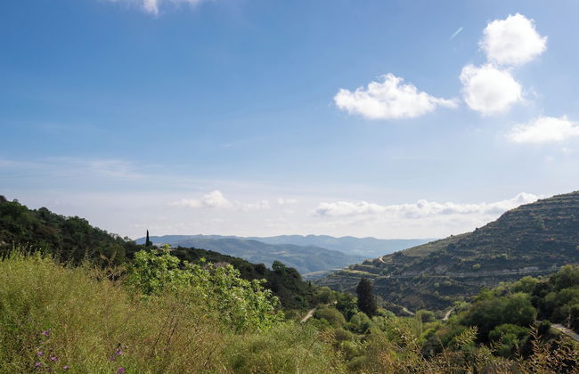 Sanders Arsorama Comfy 1 Bdr Apt w Shared Patio - Foto 26