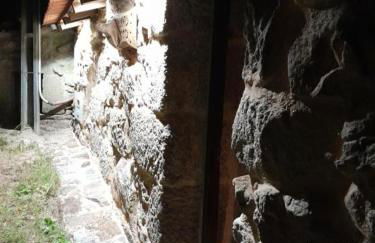 Ninho do Corvo da Urgueira - Foto 27