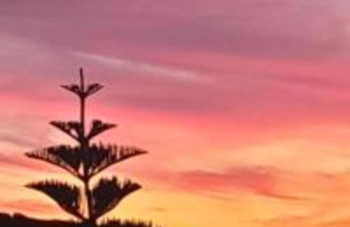 Agros house - Foto 38