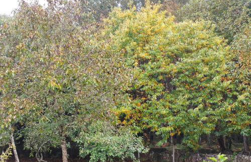 Casa Moucheiro - Foto 23