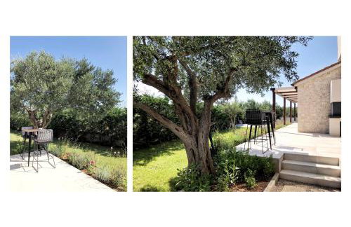 Villa Zann - Foto 12