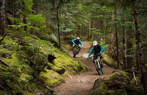 UplandParcs Haus Bergsicht - Photo 62