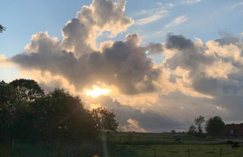 Ferienhaus Immerlicht Norddeich S-H - Foto 33
