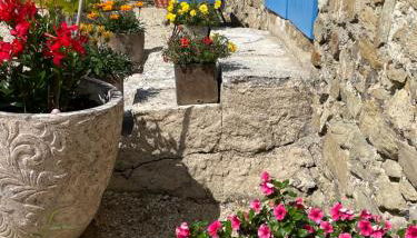 Mas de JANNE - Foto 2, Garden view