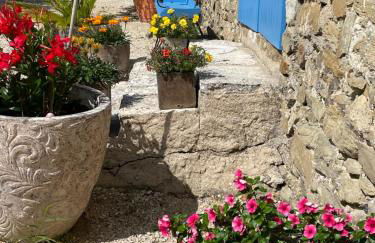 Mas de JANNE - Foto 2