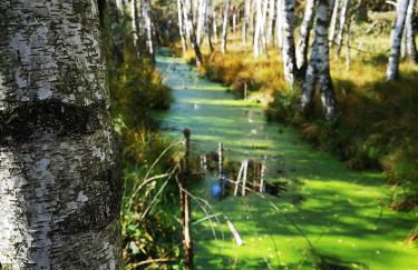 Ferienwohnung Lieblingszeit - Foto 43